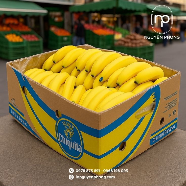 Mẫu hộp carton đựng chuối giá rẻ